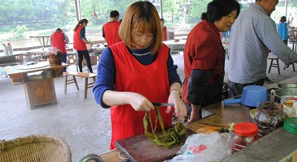 香港六采免费资料大全