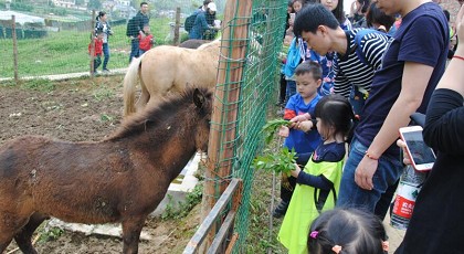 香港六采免费资料大全