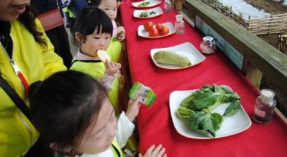 香港六采免费资料大全