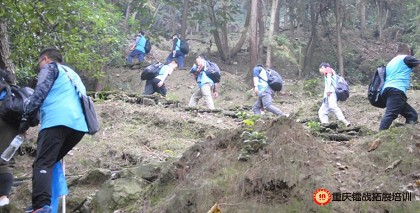 香港六采免费资料大全