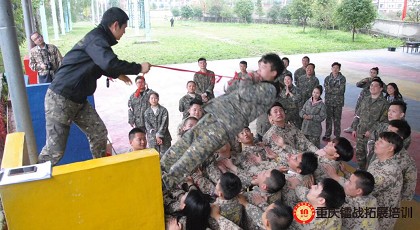 香港六采免费资料大全