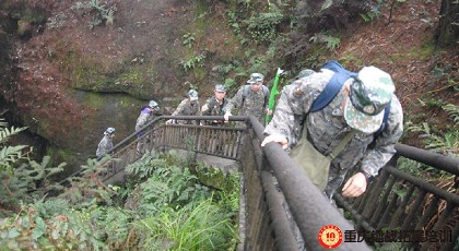 香港六采免费资料大全